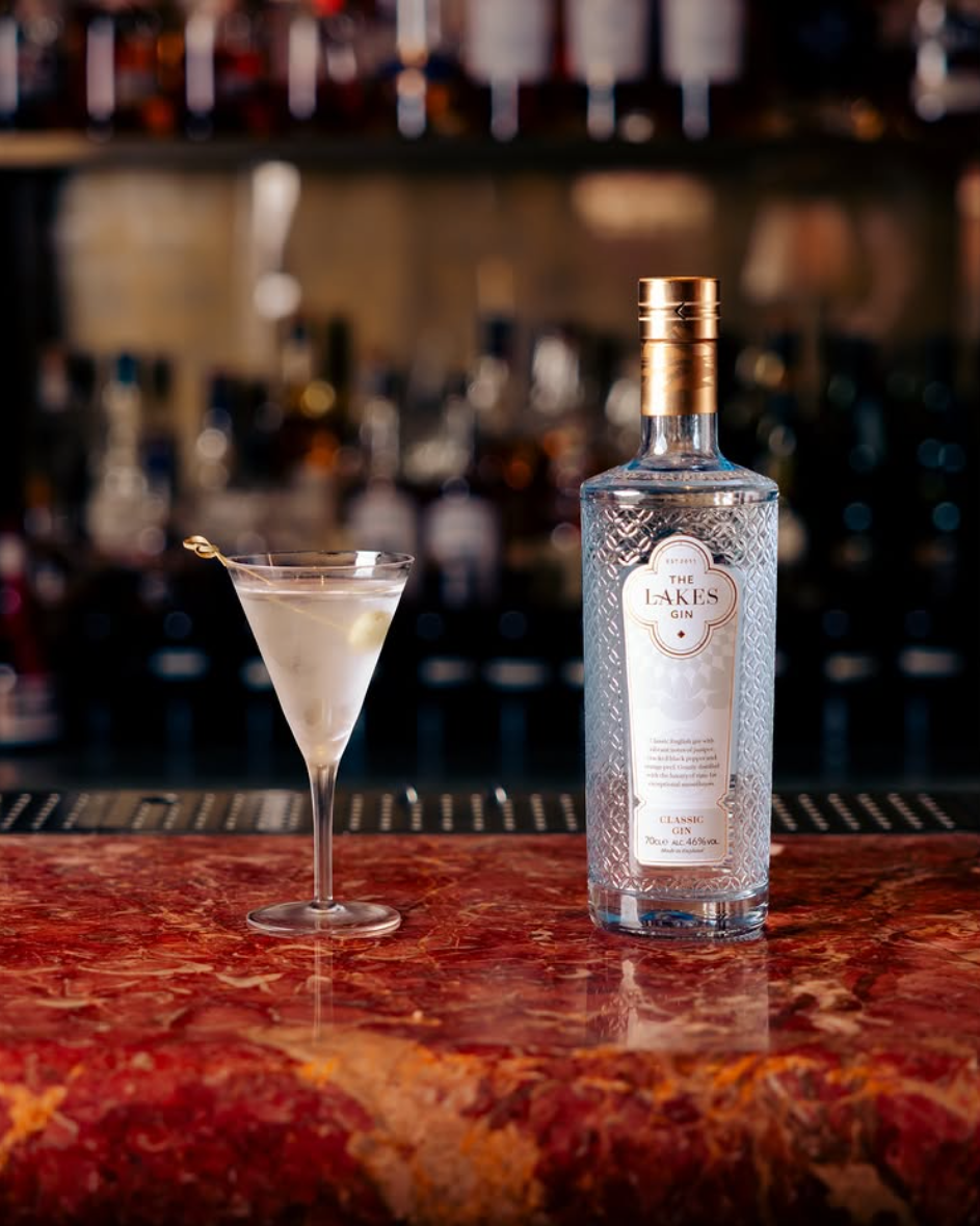 A martini and a bottle of gin on the red marble bar, the backbar glowing behind
